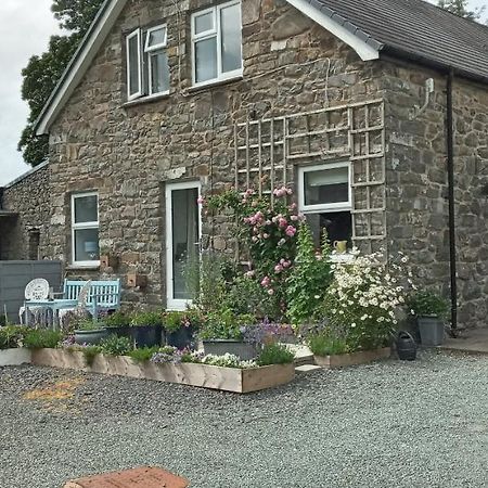Pant Glas Barn Llanbrynmair Eksteriør bilde