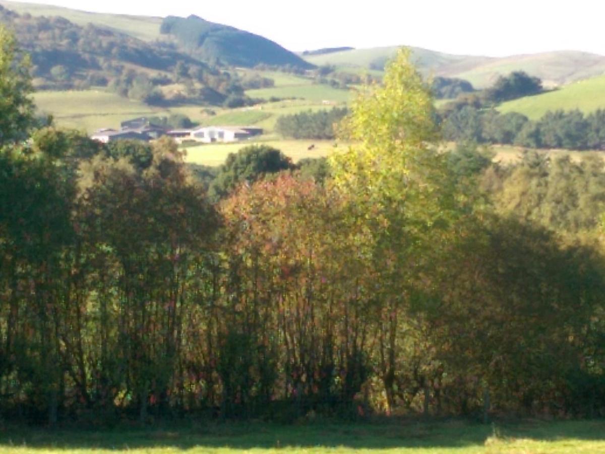 Pant Glas Barn Llanbrynmair Eksteriør bilde