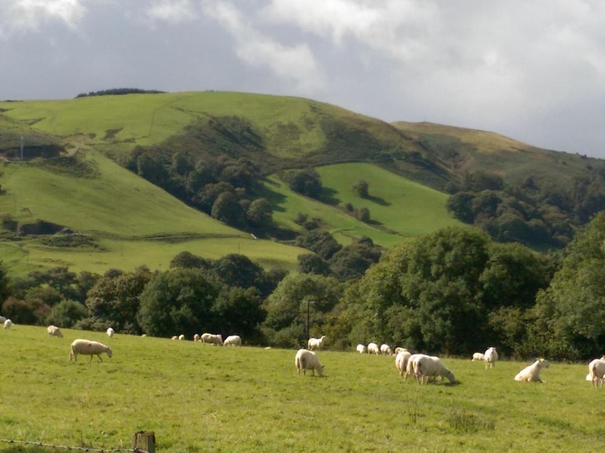Pant Glas Barn Llanbrynmair Eksteriør bilde