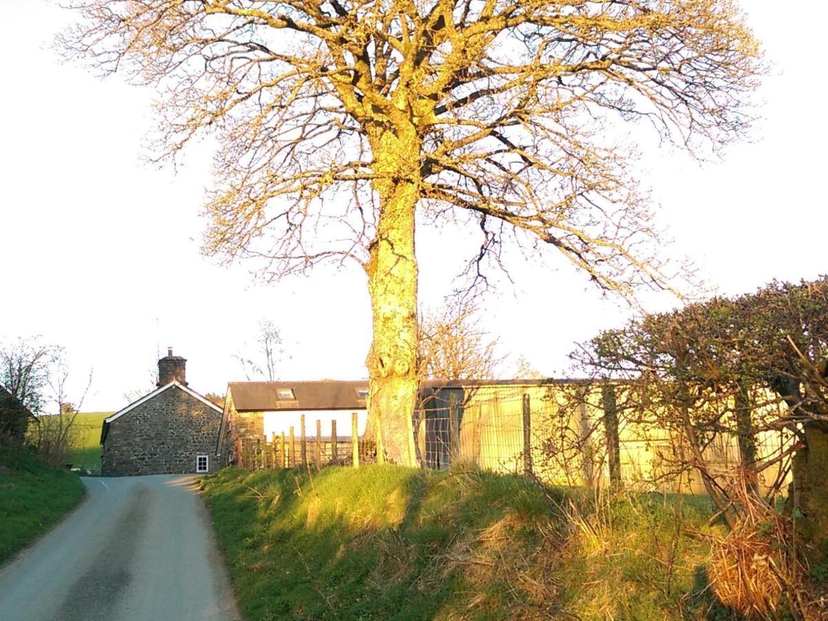 Pant Glas Barn Llanbrynmair Eksteriør bilde
