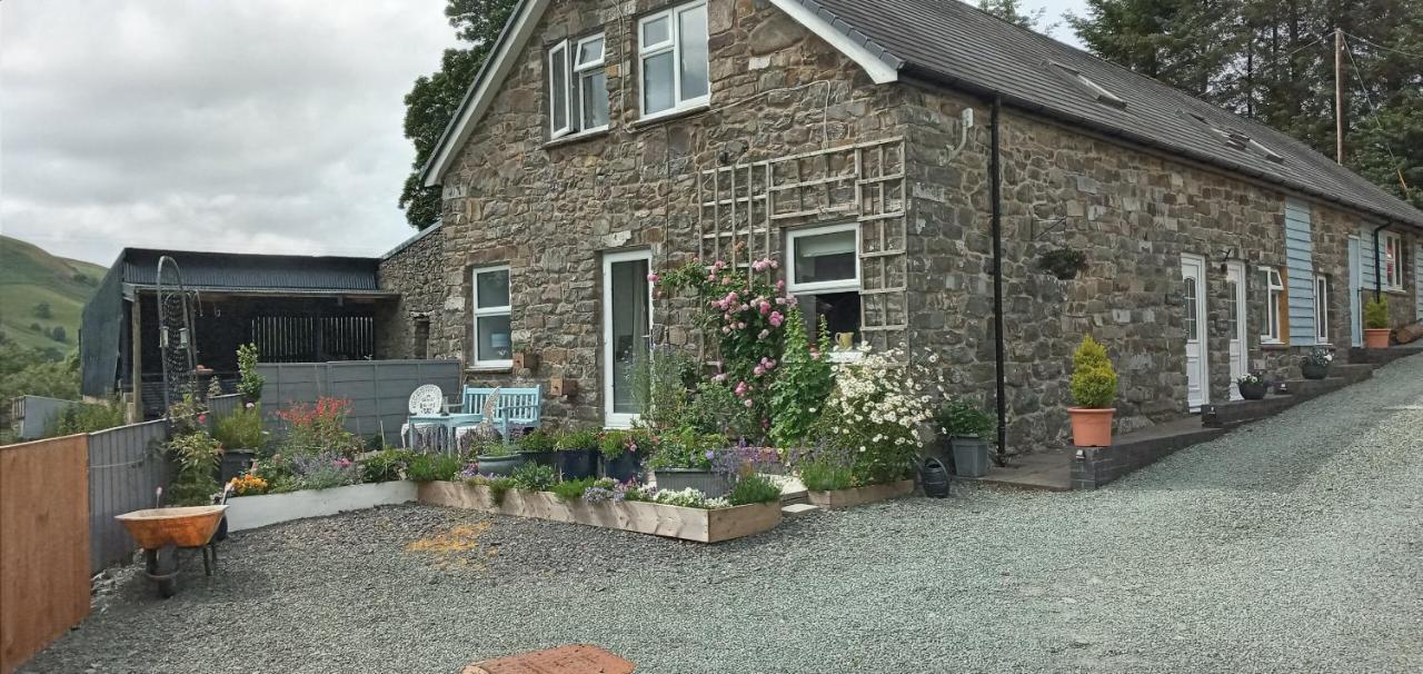 Pant Glas Barn Llanbrynmair Eksteriør bilde